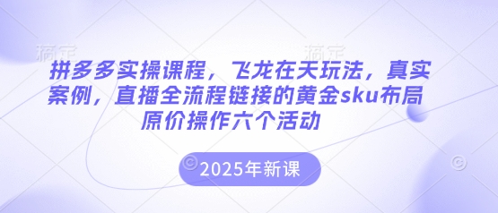 拼多多实操课程，飞龙在天玩法，真实案例，直播全流程链接的黄金sku布局原价操作六个活动-聚伍星盟