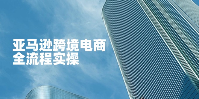 （14252期）亚马逊跨境电商全流程实操，教你从零开始，掌握店铺运营与广告技巧-聚伍星盟