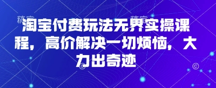 淘宝付费玩法无界实操课程,高价解决一切烦恼,大力出奇迹-聚伍星盟