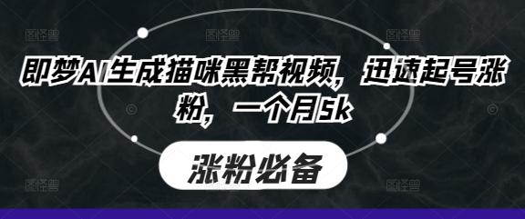 即梦AI生成猫咪黑帮视频，迅速起号涨粉，一个月5k-聚伍星盟