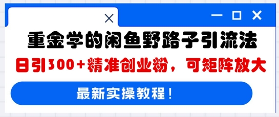 重金学的闲鱼野路子引流法，日引300+精准创业粉，可矩阵放大-聚伍星盟