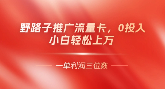 0门槛推广流量卡，一单收益上百，0投入，小白月入过W-聚伍星盟