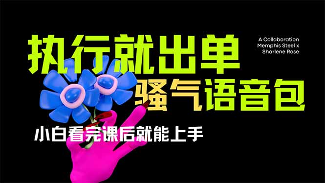 （14170期）爆火全网的开车导航骚气语音包,只要执行就出单，小白看完课程就能实操…-聚伍星盟