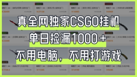 真全网独家CSGO挂G,单日捡漏1k+【揭秘】-聚伍星盟