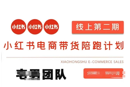 小红书电商带货课2期，月利润20个的小红书电商的有货源，无货源，虚拟产品，付费投流等整套玩法-聚伍星盟