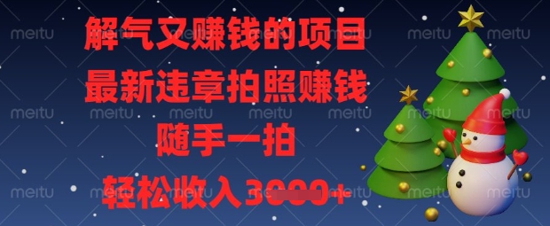 解气又挣钱的项目，最新违章拍照挣钱，随手一拍，轻松收入数张【揭秘】-聚伍星盟